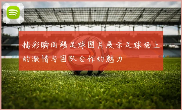 精彩瞬间踢足球图片展示足球场上的激情与团队合作的魅力