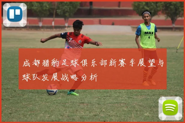 成都猎豹足球俱乐部新赛季展望与球队发展战略分析