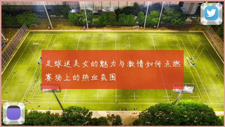 足球迷美女的魅力与激情如何点燃赛场上的热血氛围