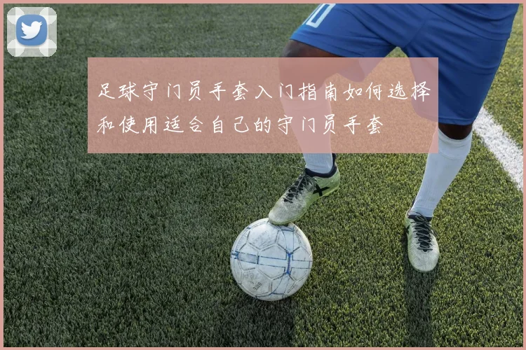 足球守门员手套入门指南如何选择和使用适合自己的守门员手套